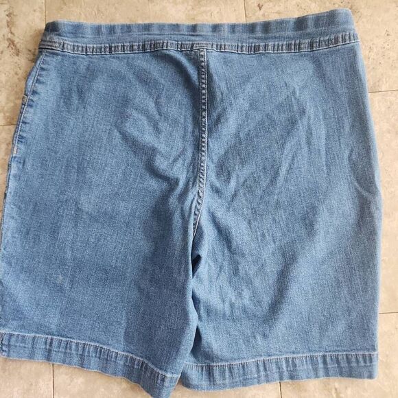 R15 Terra & Sky jean shorts - Picture 2 of 6